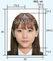 写真：証明写真見本