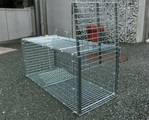 猫保護器具の写真