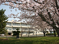 写真：磐田南小学校　外観