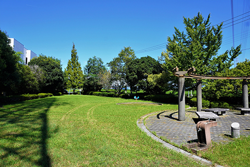 写真：おおぞら公園