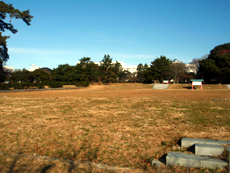 写真：遠江国分寺史跡公園