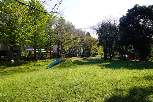 写真：上野公園