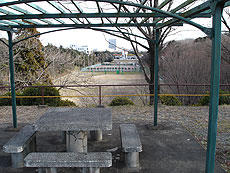 写真：東大久保運動公園