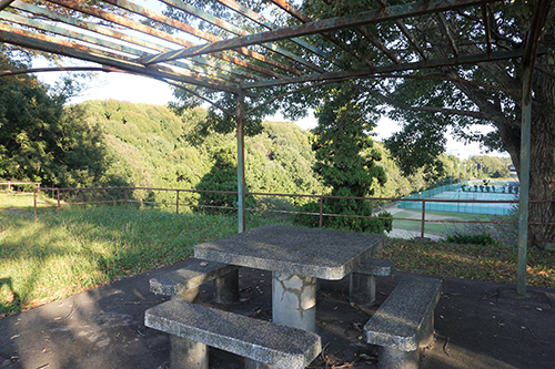 写真：東大久保運動公園