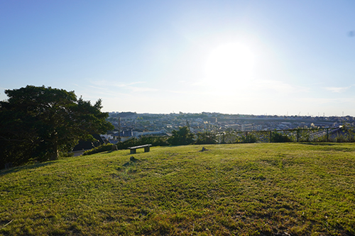 写真：富士見北公園