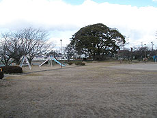 写真：豊田海老塚農村公園