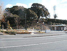 写真：豊田原新田公園