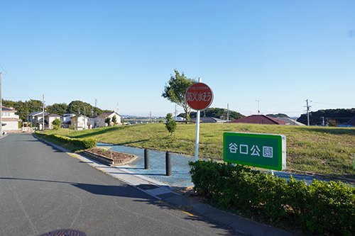 写真：谷口公園