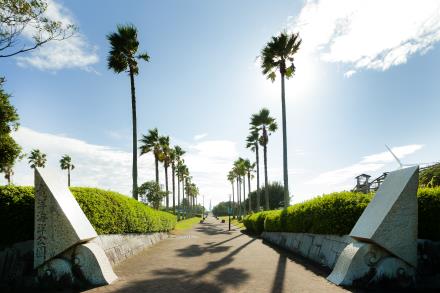 写真：海洋公園の入口の様子