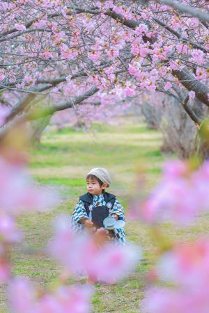 大好き、新幹線を眺めて