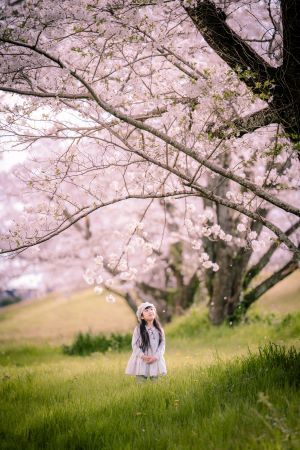 ヒラヒラ桜吹雪を浴びて