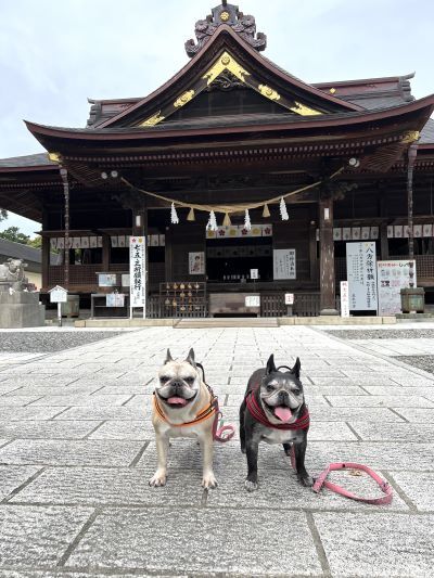 いつも見守って頂きありがとうございます