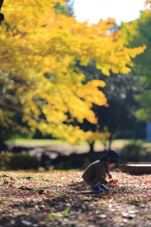 小さな手