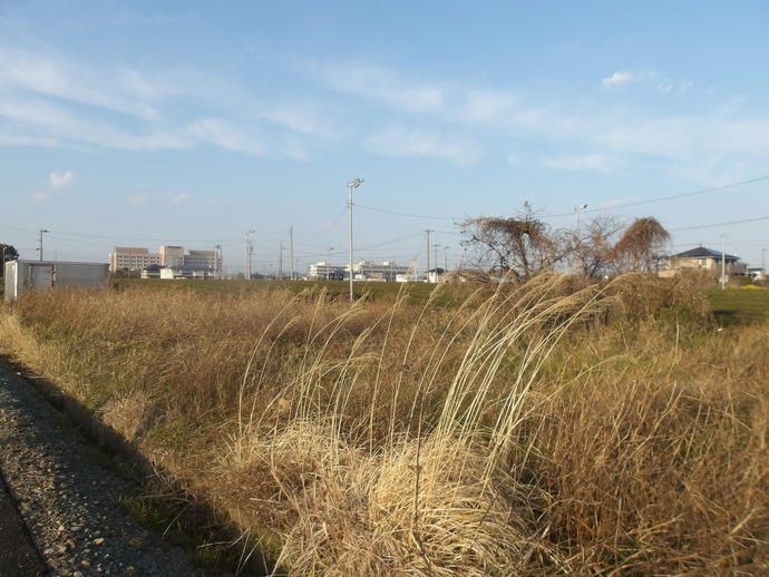 大久保561-8農地写真