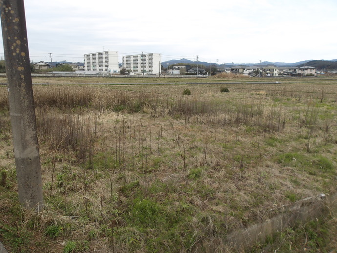 上野部1699農地写真