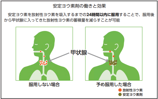 ヨウ素剤の働きと効果